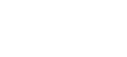 Jetfly